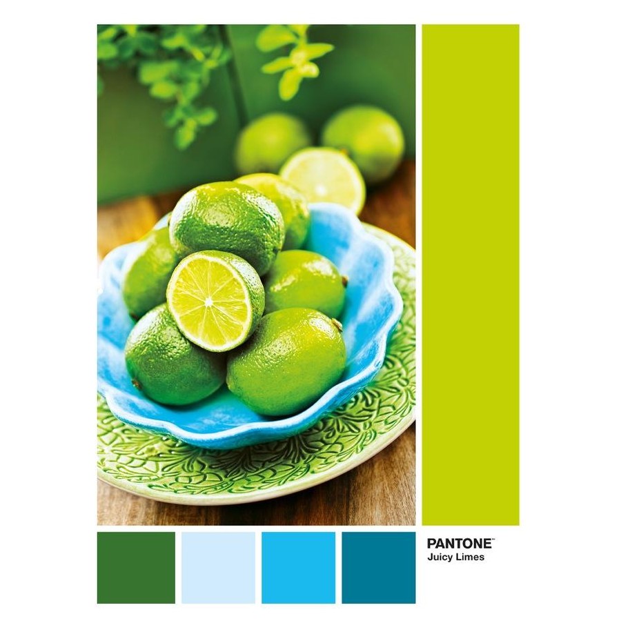 1000pc Pantone Juicy Limes Puzzle
