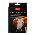 12pc Jasart Studio Art/Craft Jumbo Colour Pencil Set